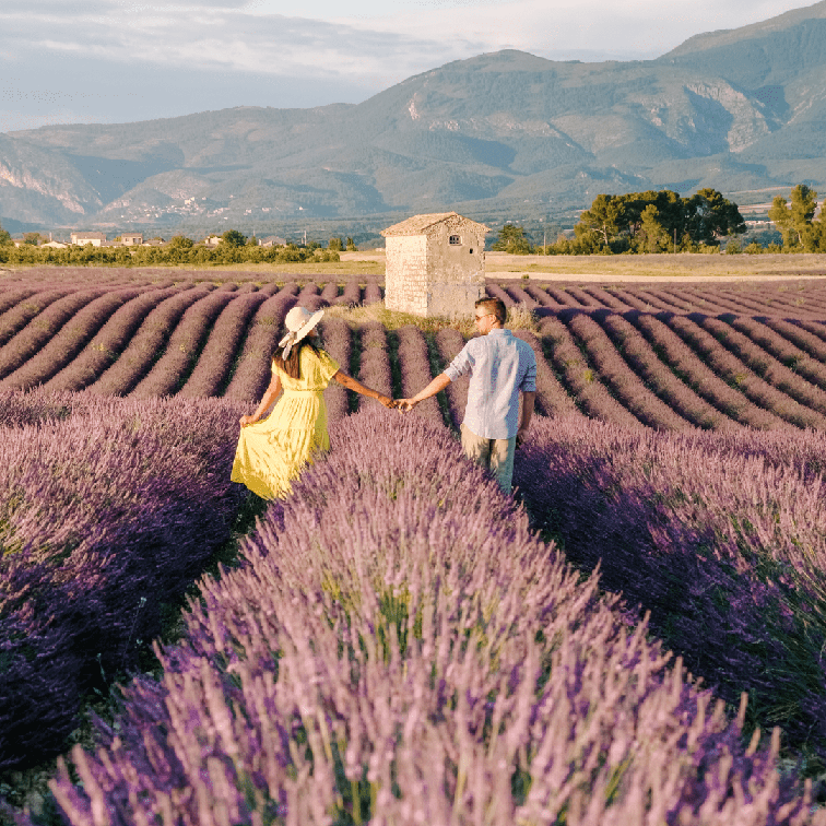 You are currently viewing La Provence, destination des amoureux.
