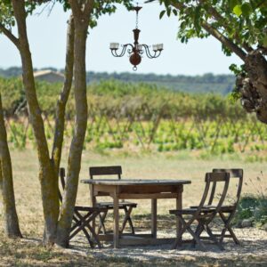 Lire la suite à propos de l’article Les restaurants étoilés en Provence