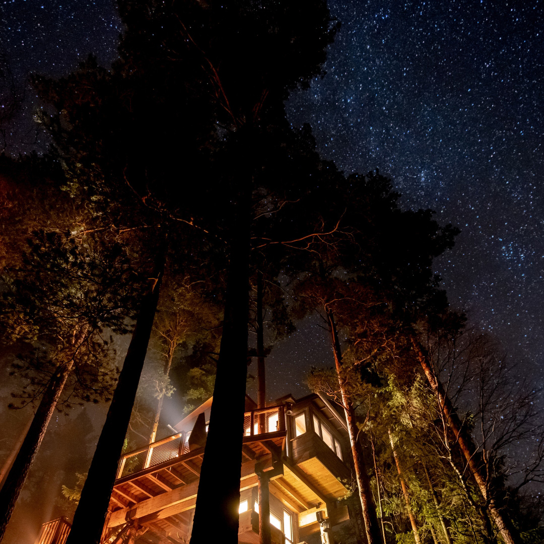 You are currently viewing Dormir dans une cabane dans les arbres en Provence