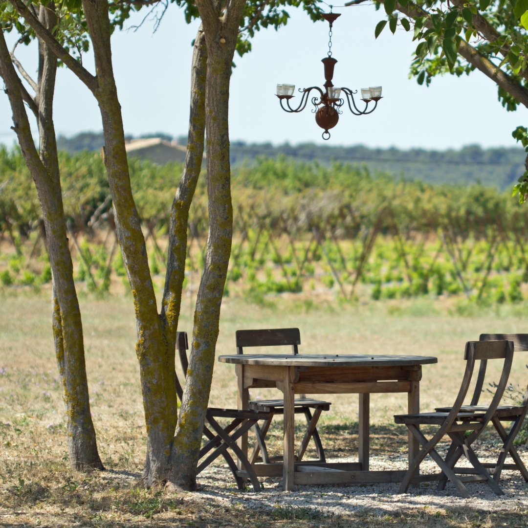 You are currently viewing Bienvenue dans les plus beaux jardins de Provence !