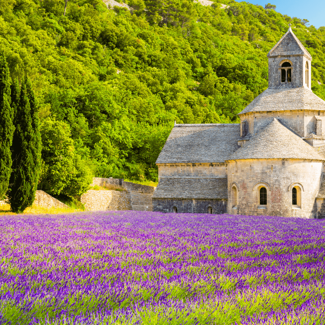 Lire la suite à propos de l’article 5 lieux incontournables en Provence